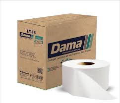 Papel Hig FD Dama Prof Rolo 10CM 8X250M